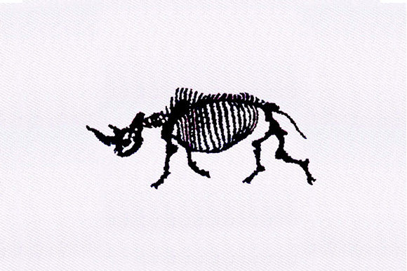 Rhinoceros Skeleton Design Review